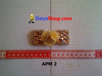 APM 2  large2